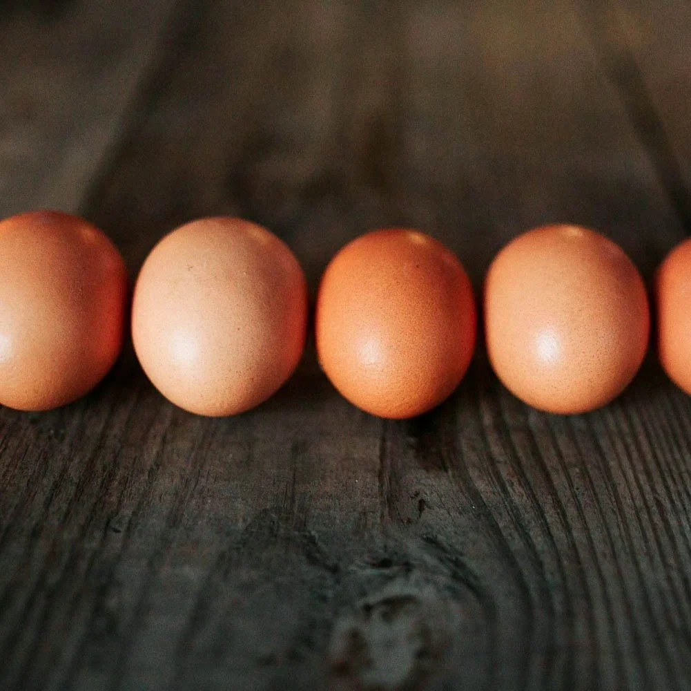 Pasture Raised NonGMO Eggs — Bluestem Farm Organic Vegetables and