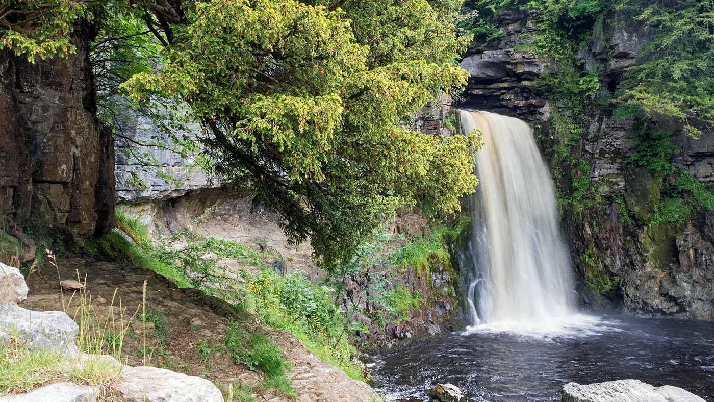 Thornton Force