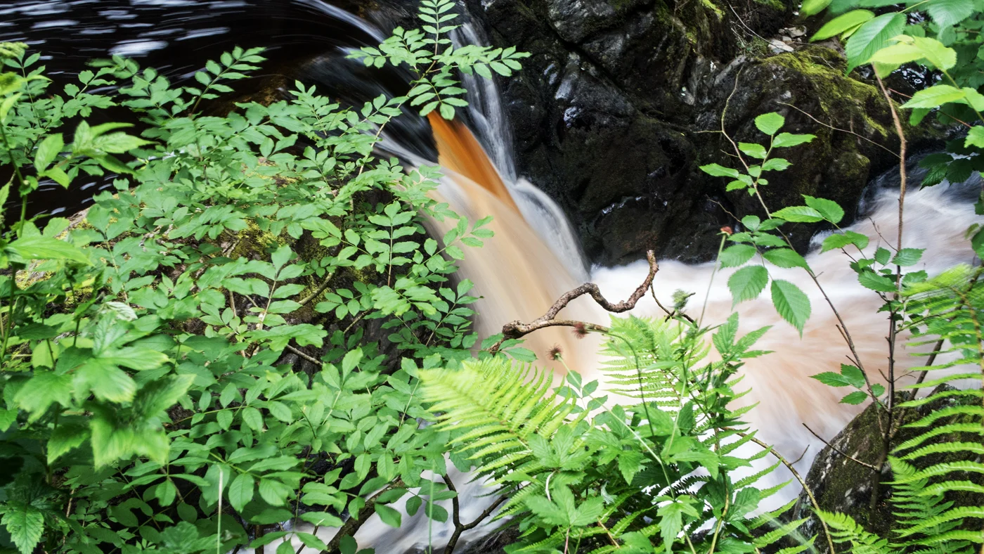 Pecca Falls