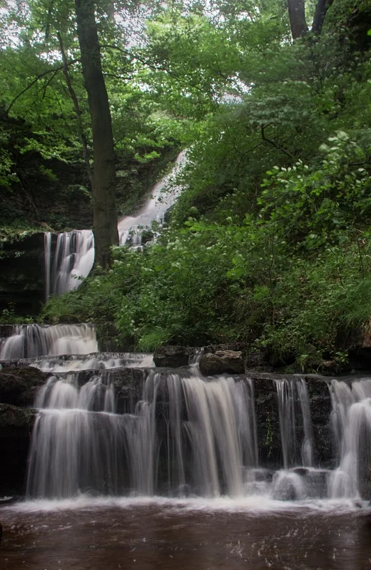 Scaleber Force