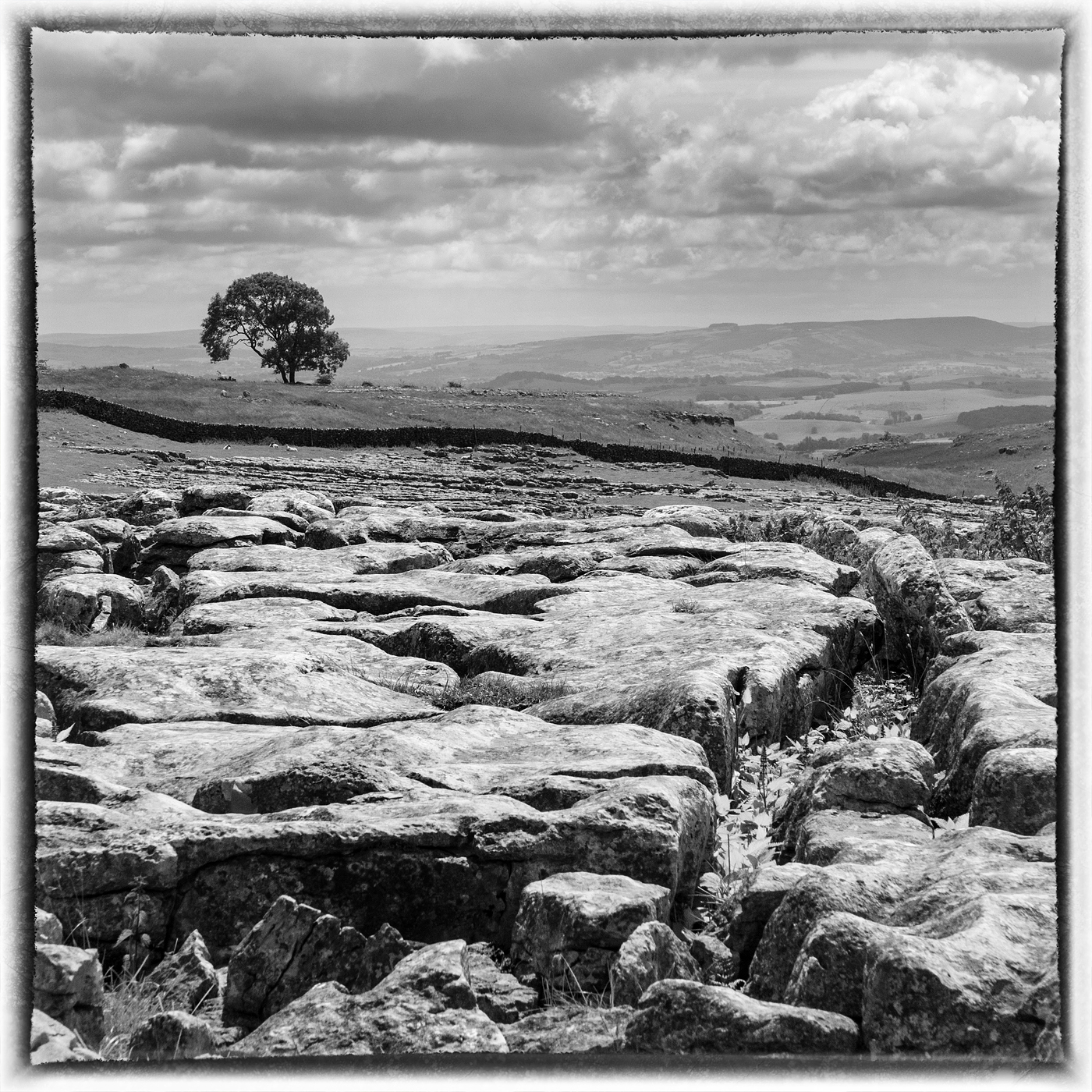 Limestone Pavement above Malham