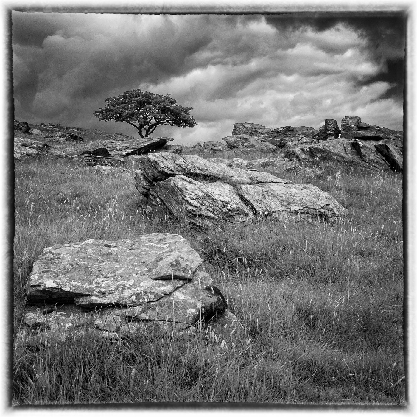 Norber Erratics