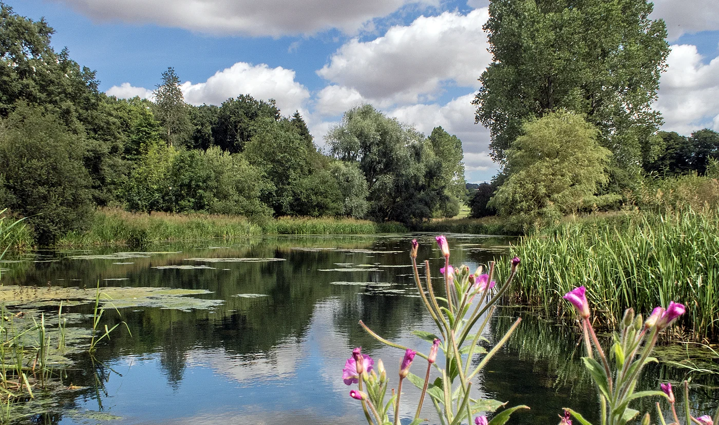 Londesborough Park Lake