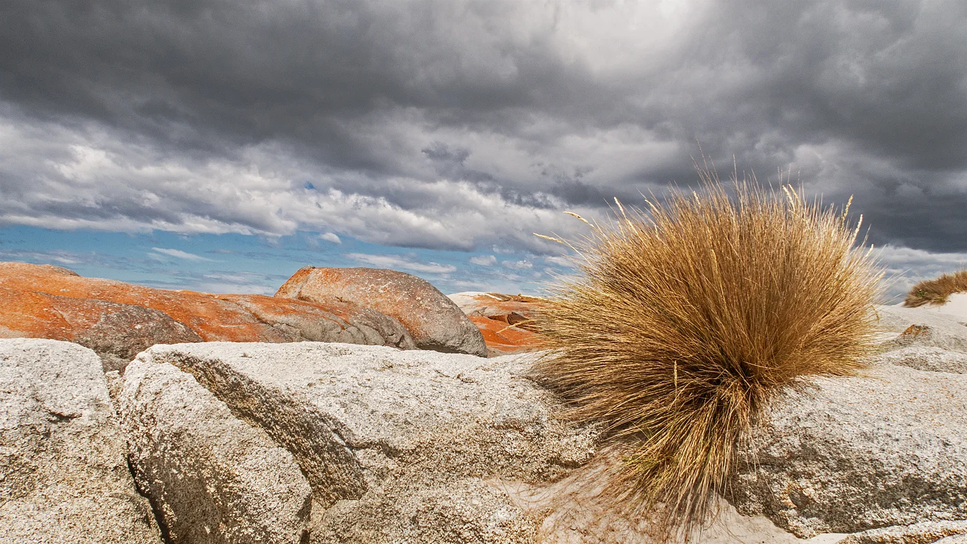 Bay of Fires, Tasmania