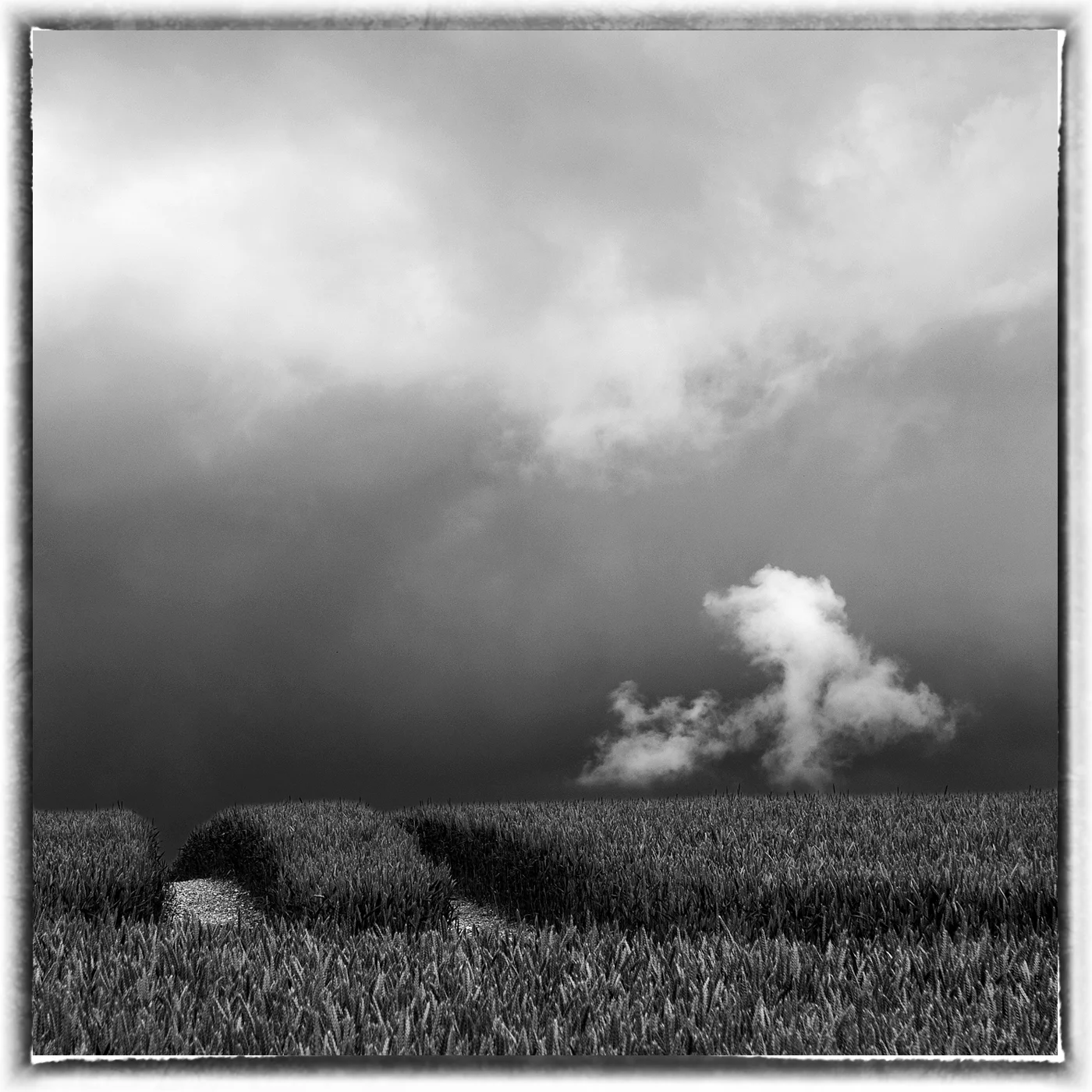 LIttle Cloud