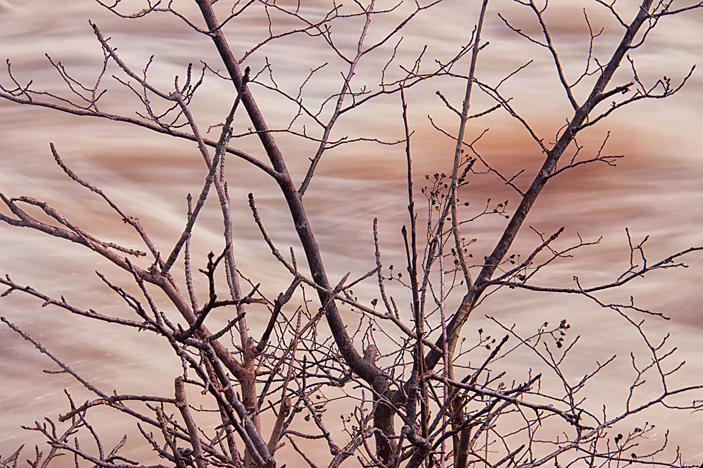 River Ure detail