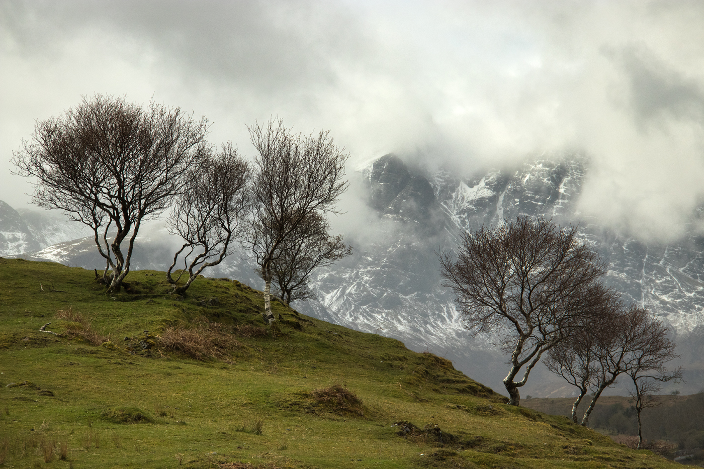 On the road to Elgol