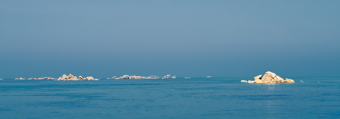 IMG_6599.jpg