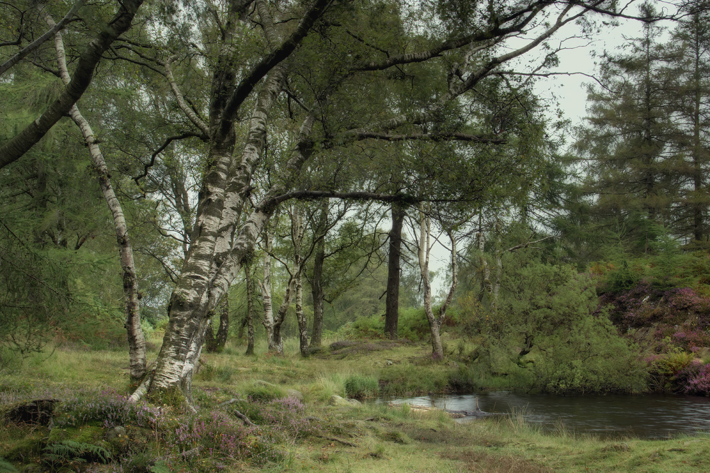 Hodge Close Tarn