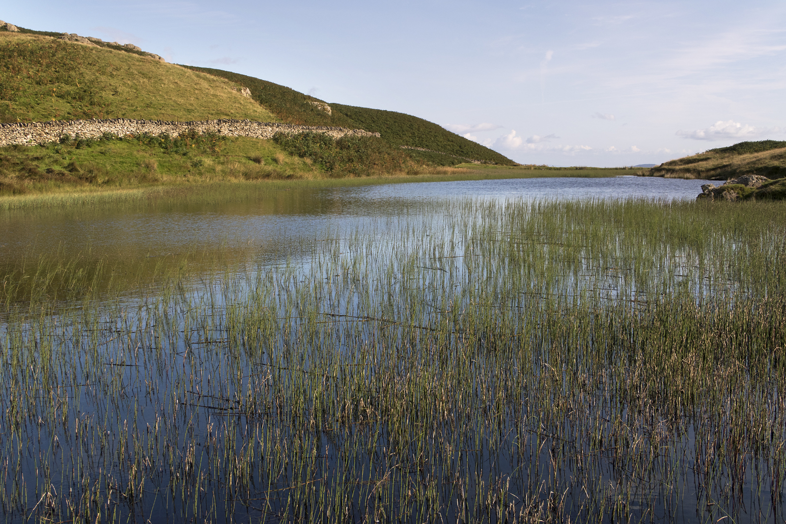 Saturday - Alcock Tarn