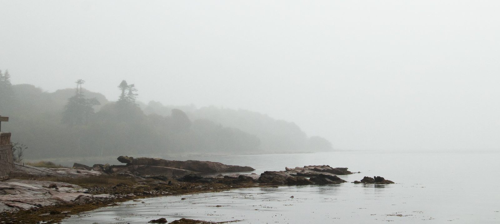 Morning mist near Brodick Castle