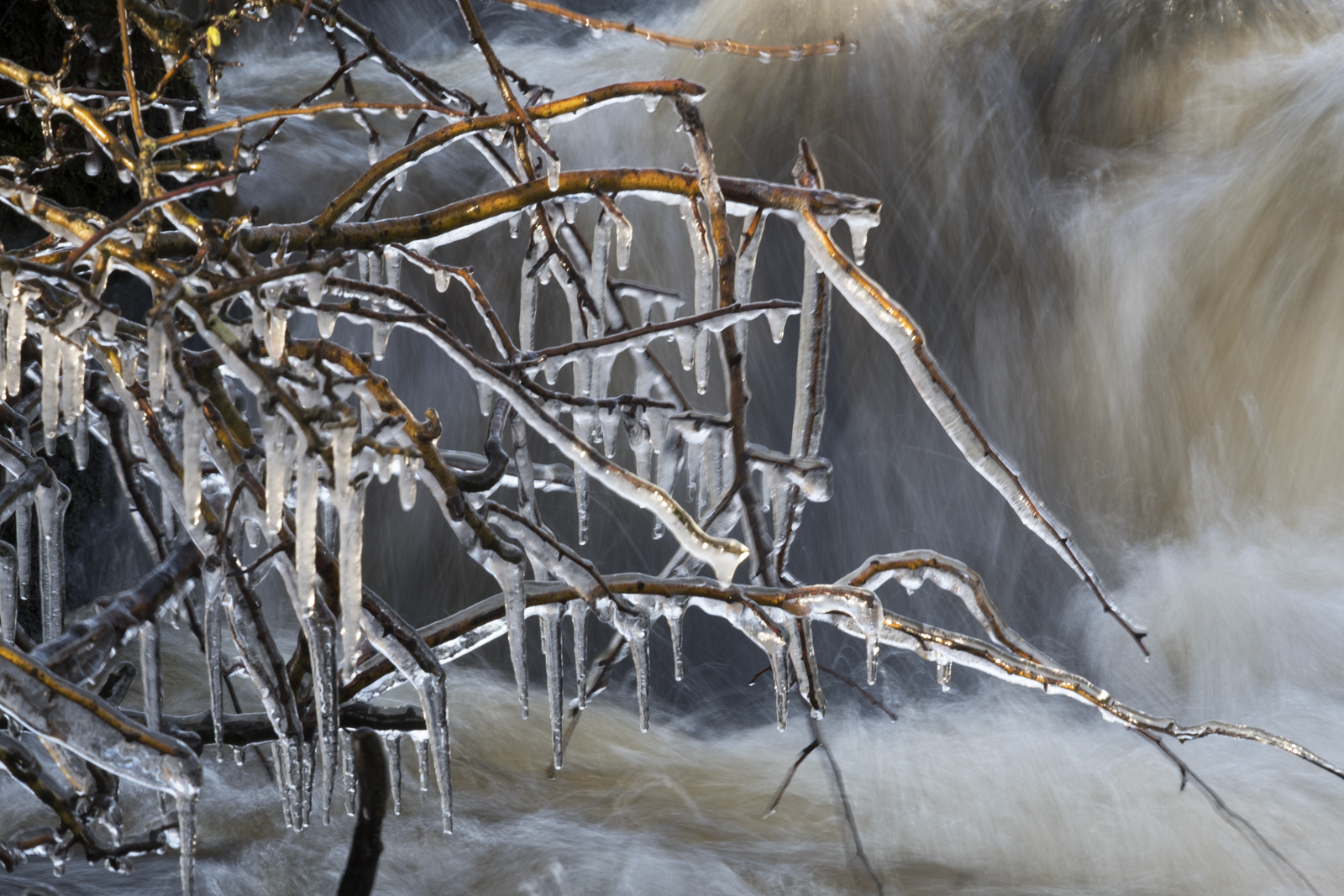 Icy Langstrothdale