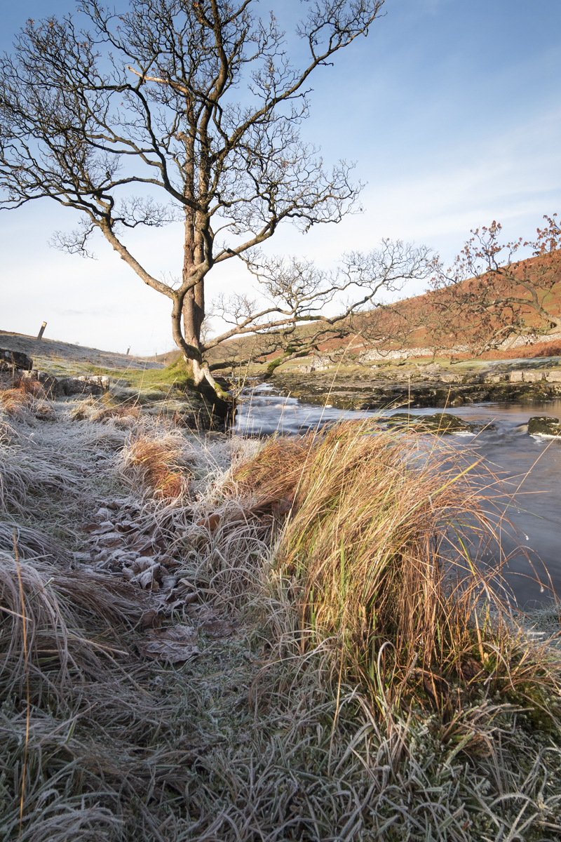 Frost