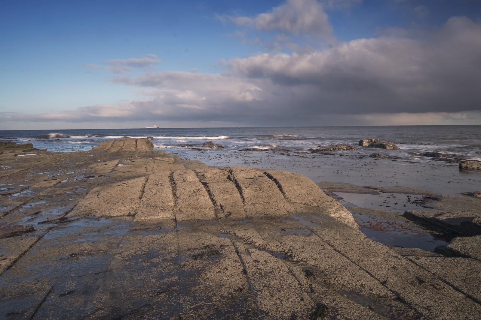 DSCF1051.jpg