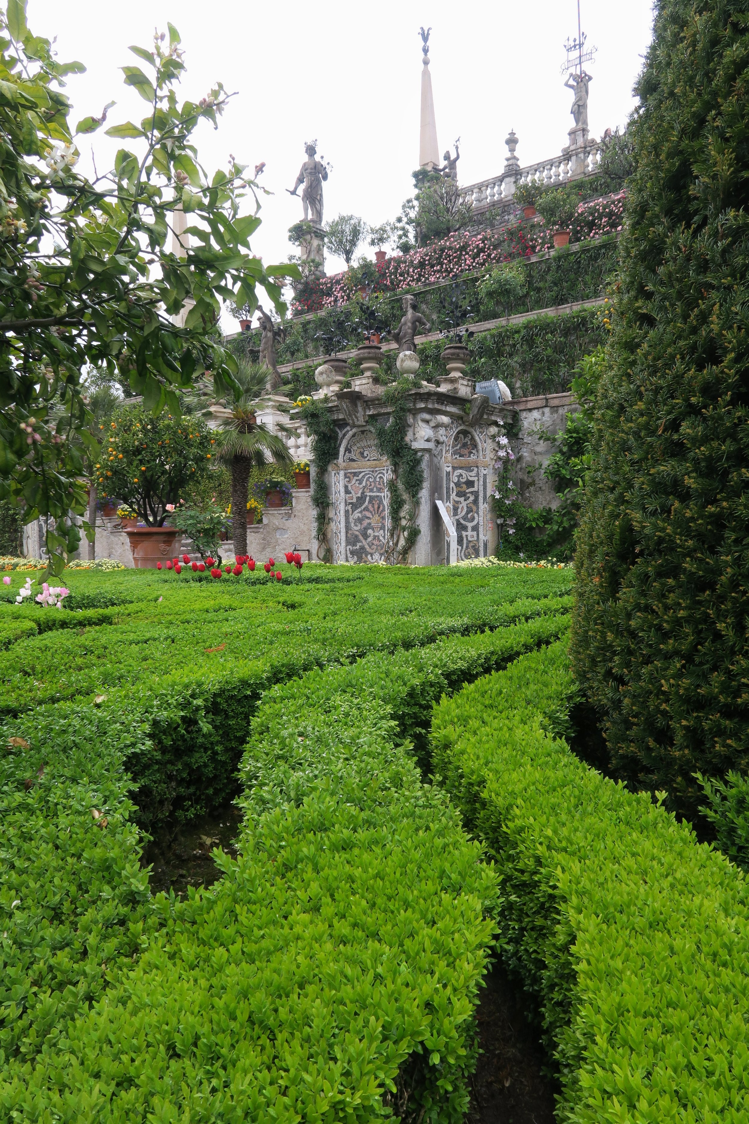 Isola Bella topiary