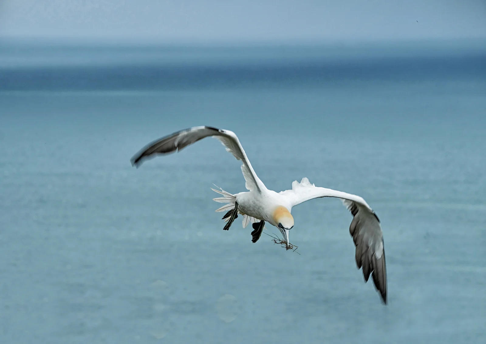 DSCF2724.jpg