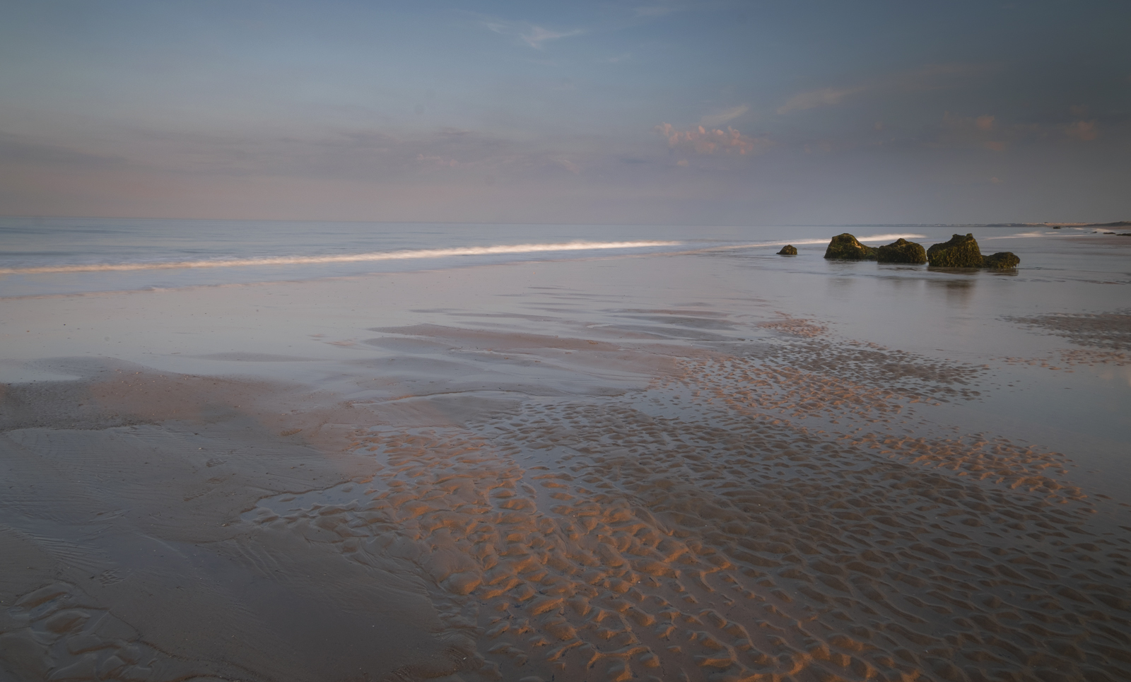 DSCF3021.jpg