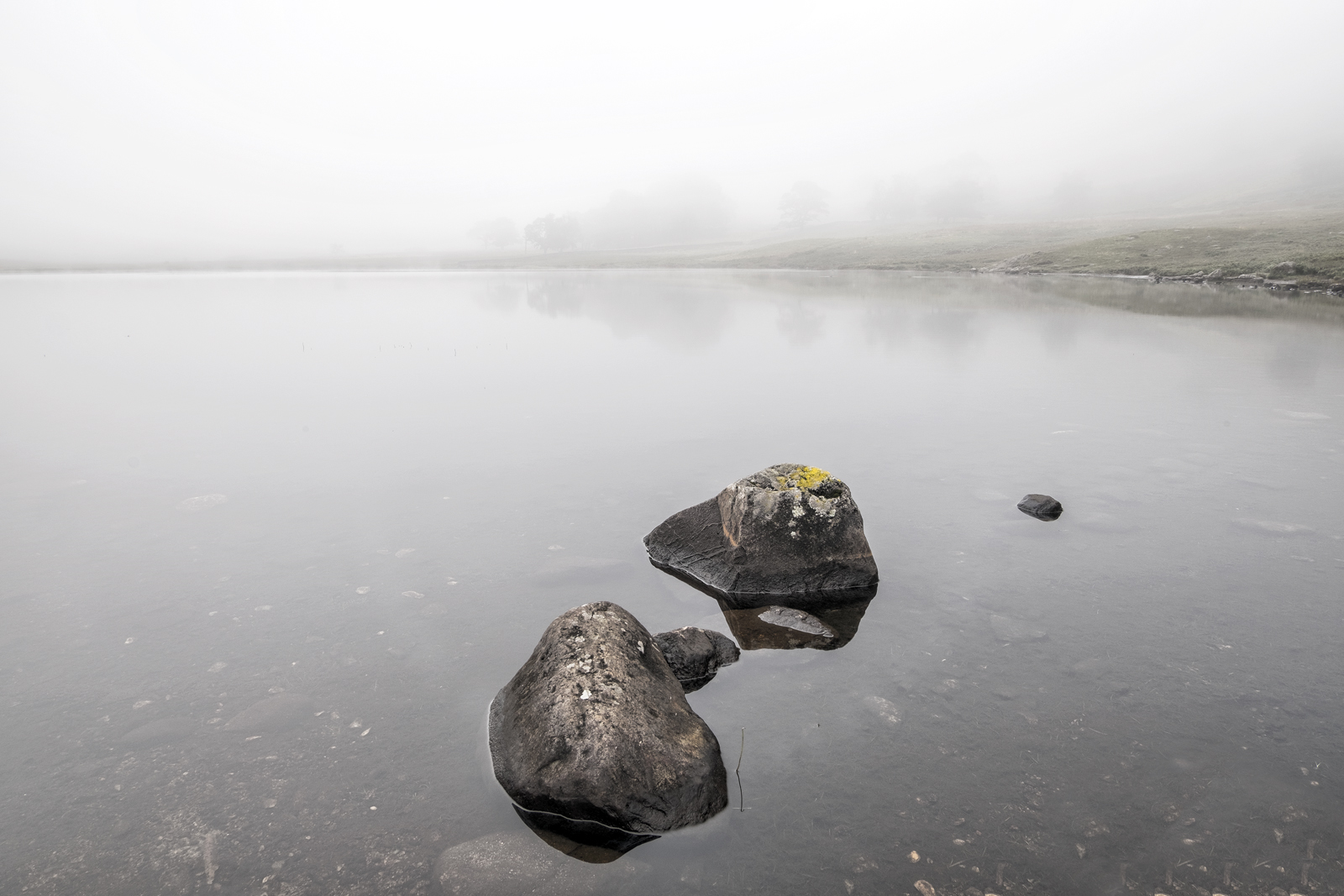 DSCF3178.jpg