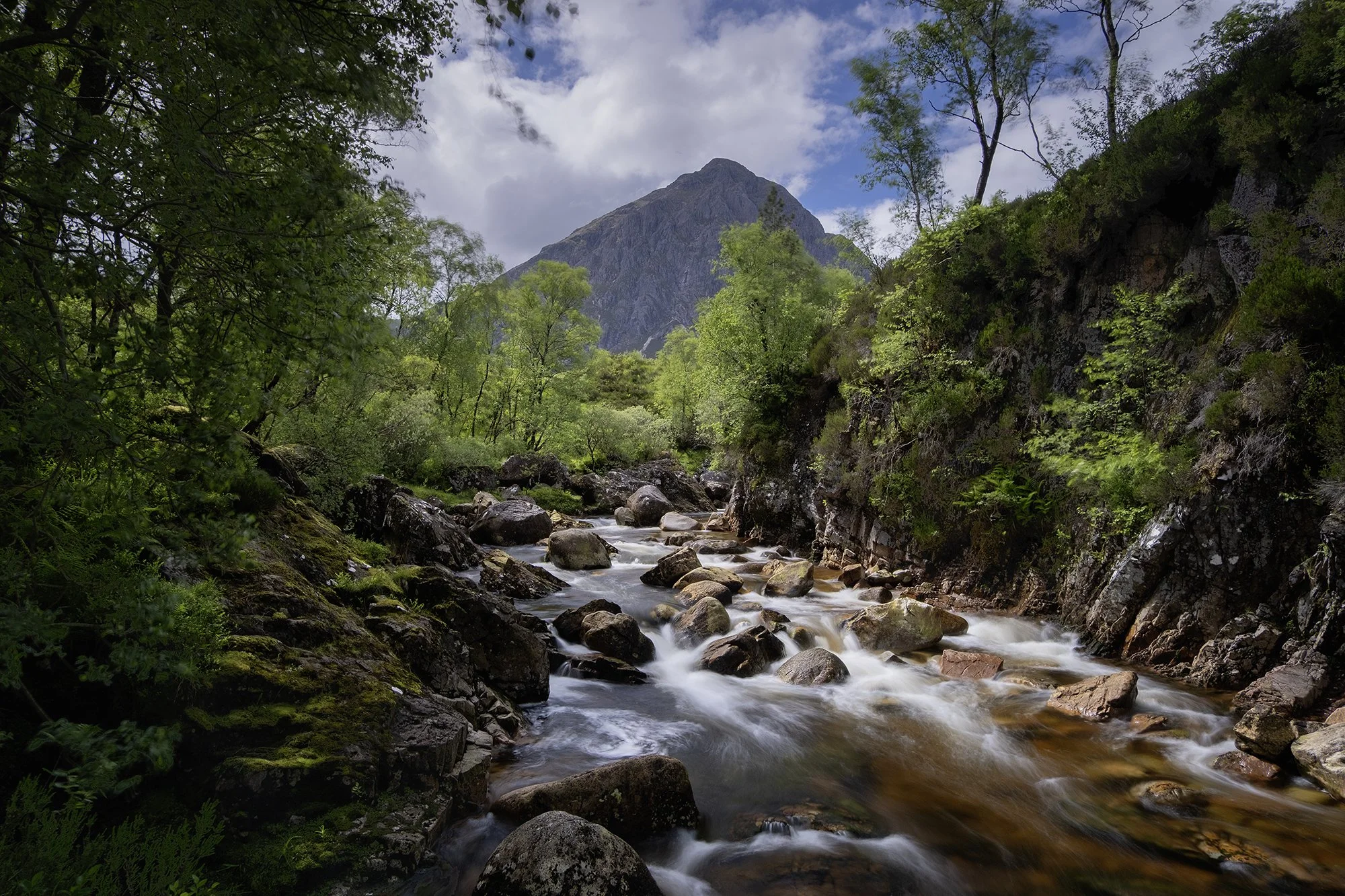 DSCF6318.jpg