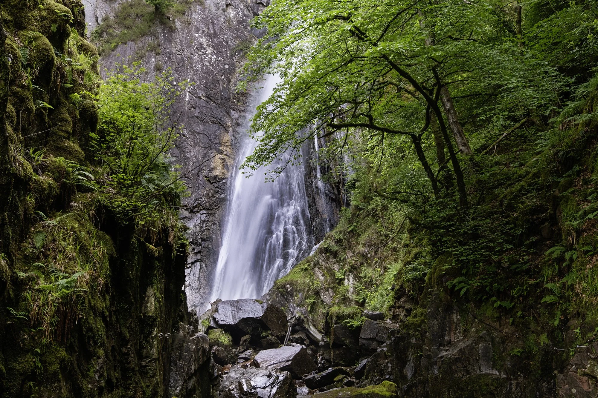 DSCF6426.jpg