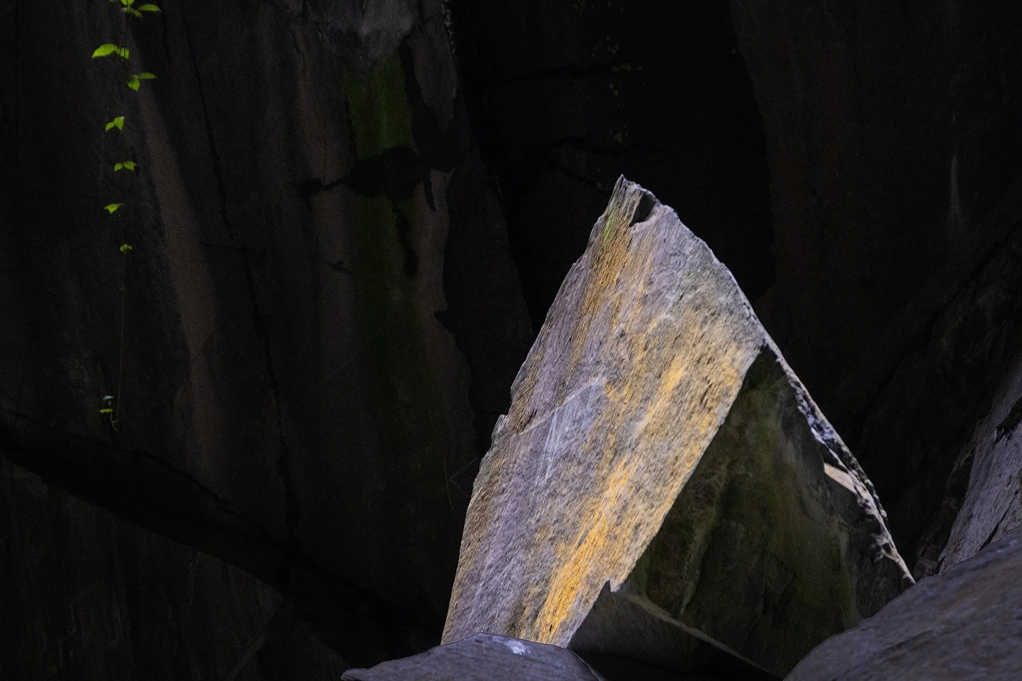 DSCF5906.jpg