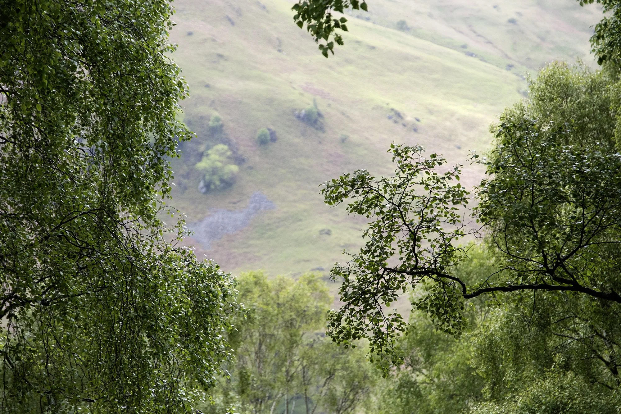 DSCF5952.jpg