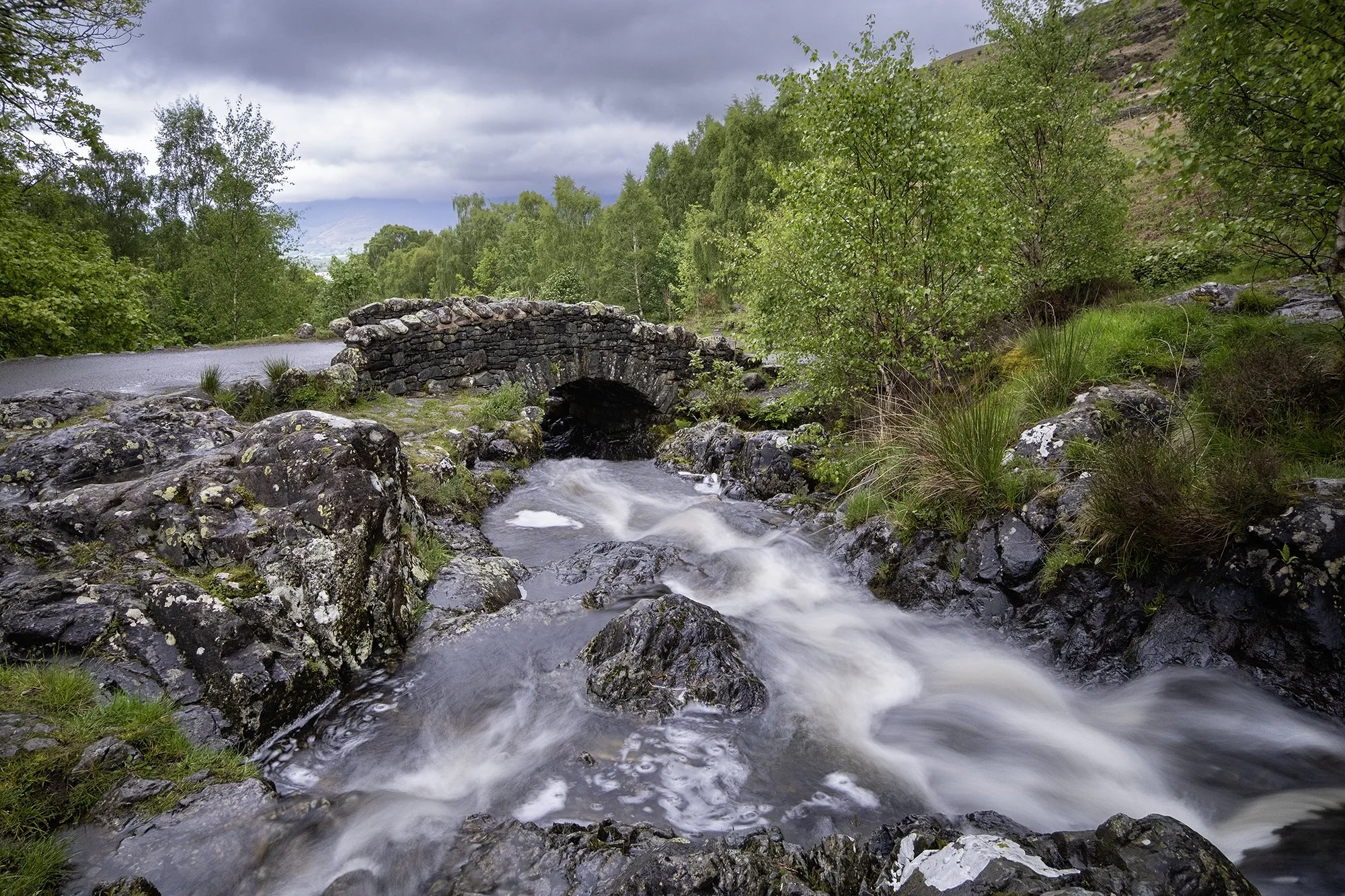 DSCF5978.jpg