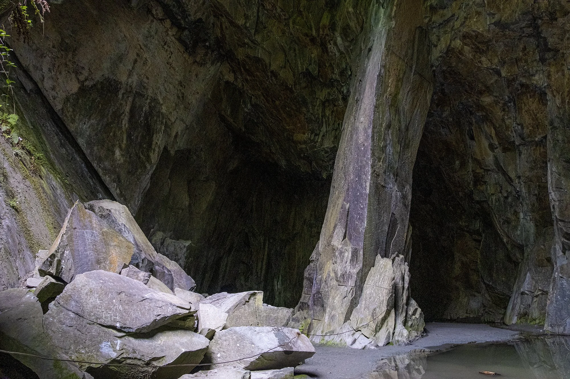 DSCF5904.jpg