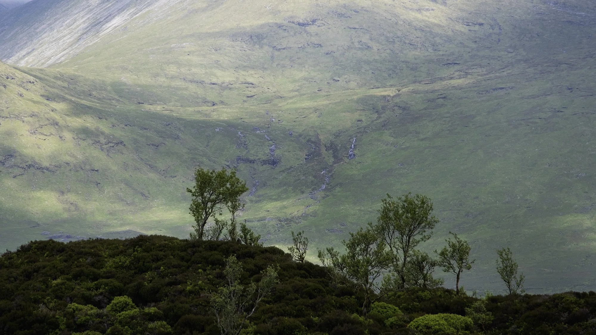 DSCF6288.jpg