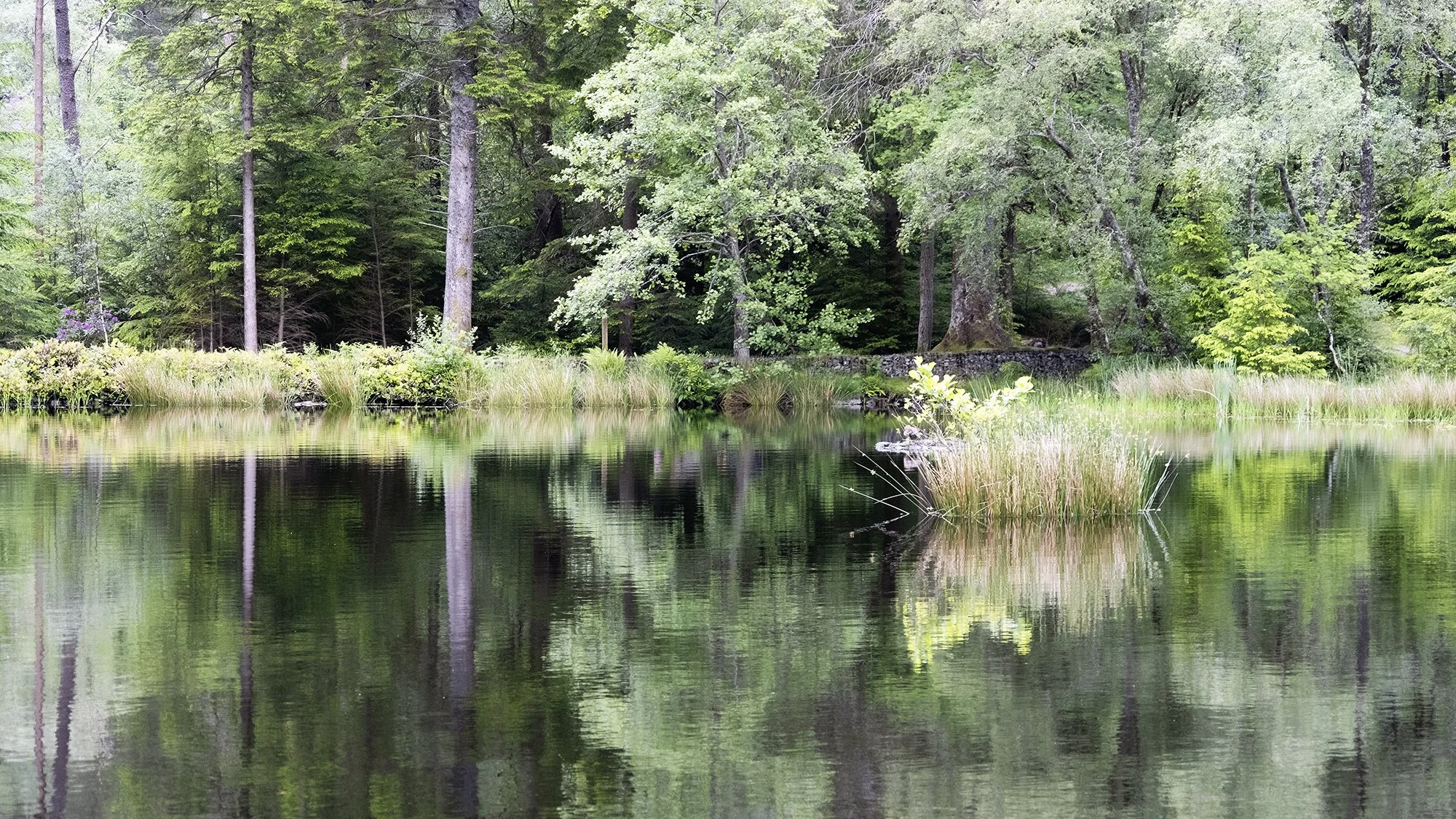 DSCF6411.jpg