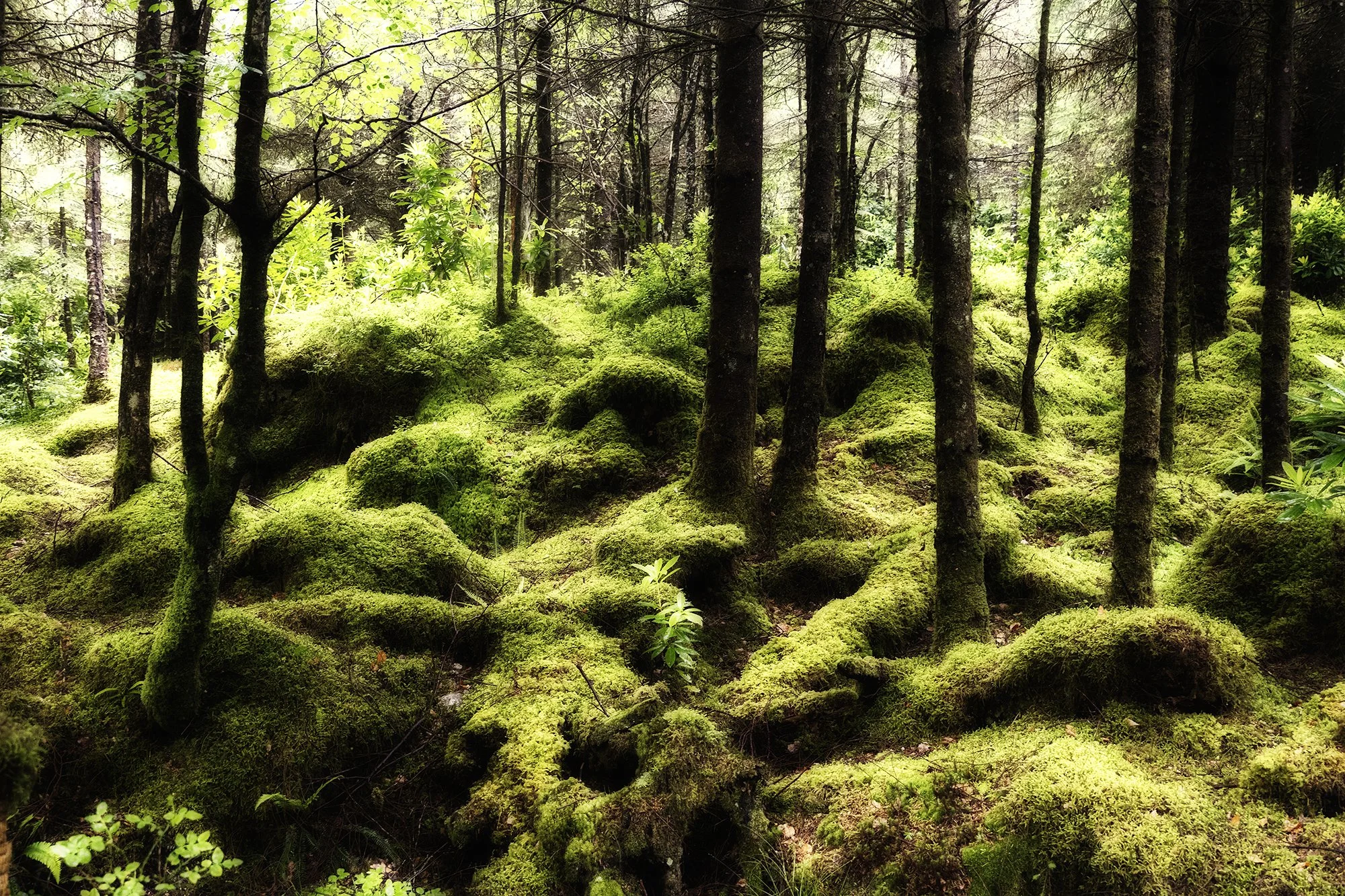 DSCF6571.jpg