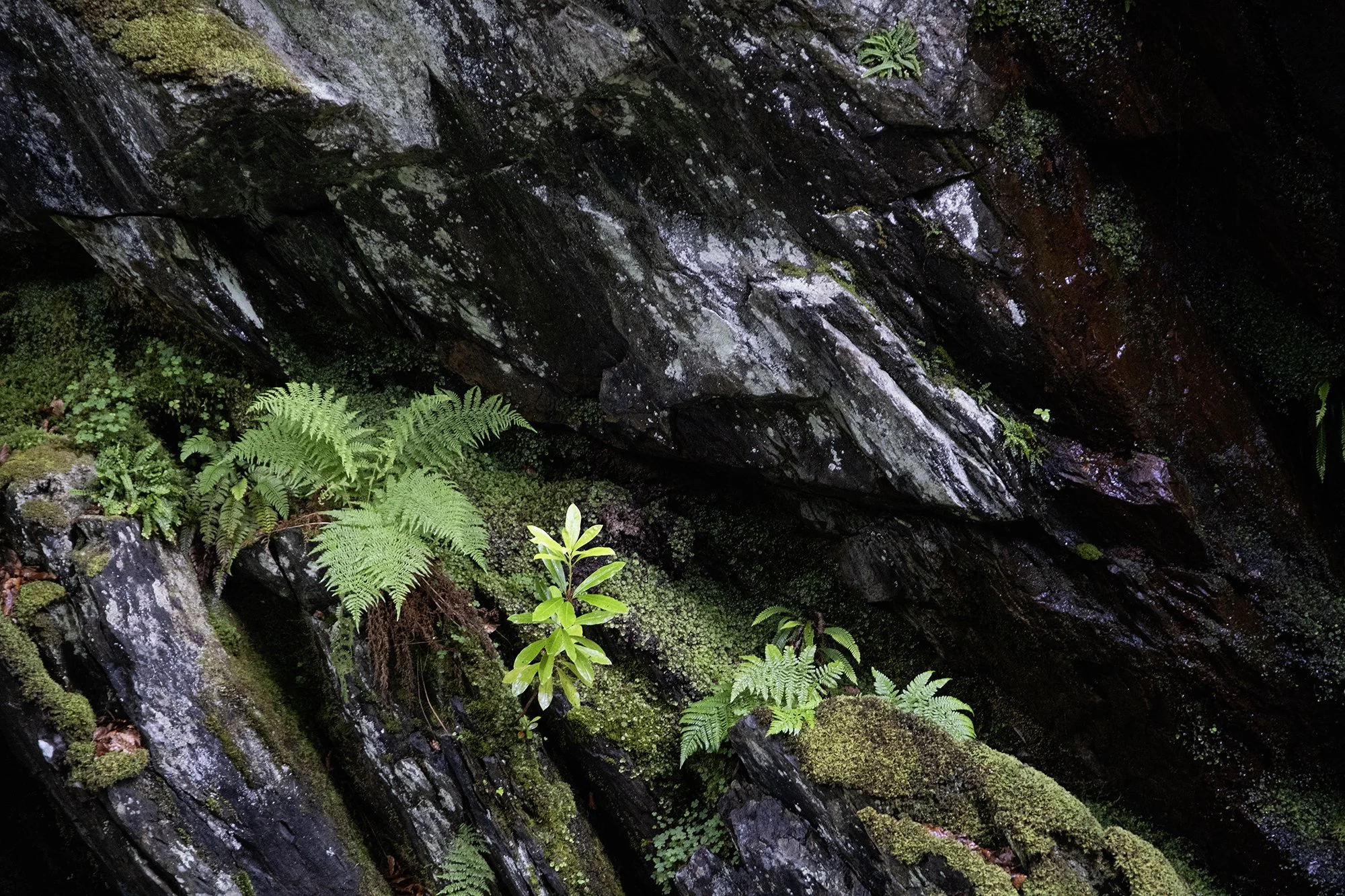 DSCF6574.jpg