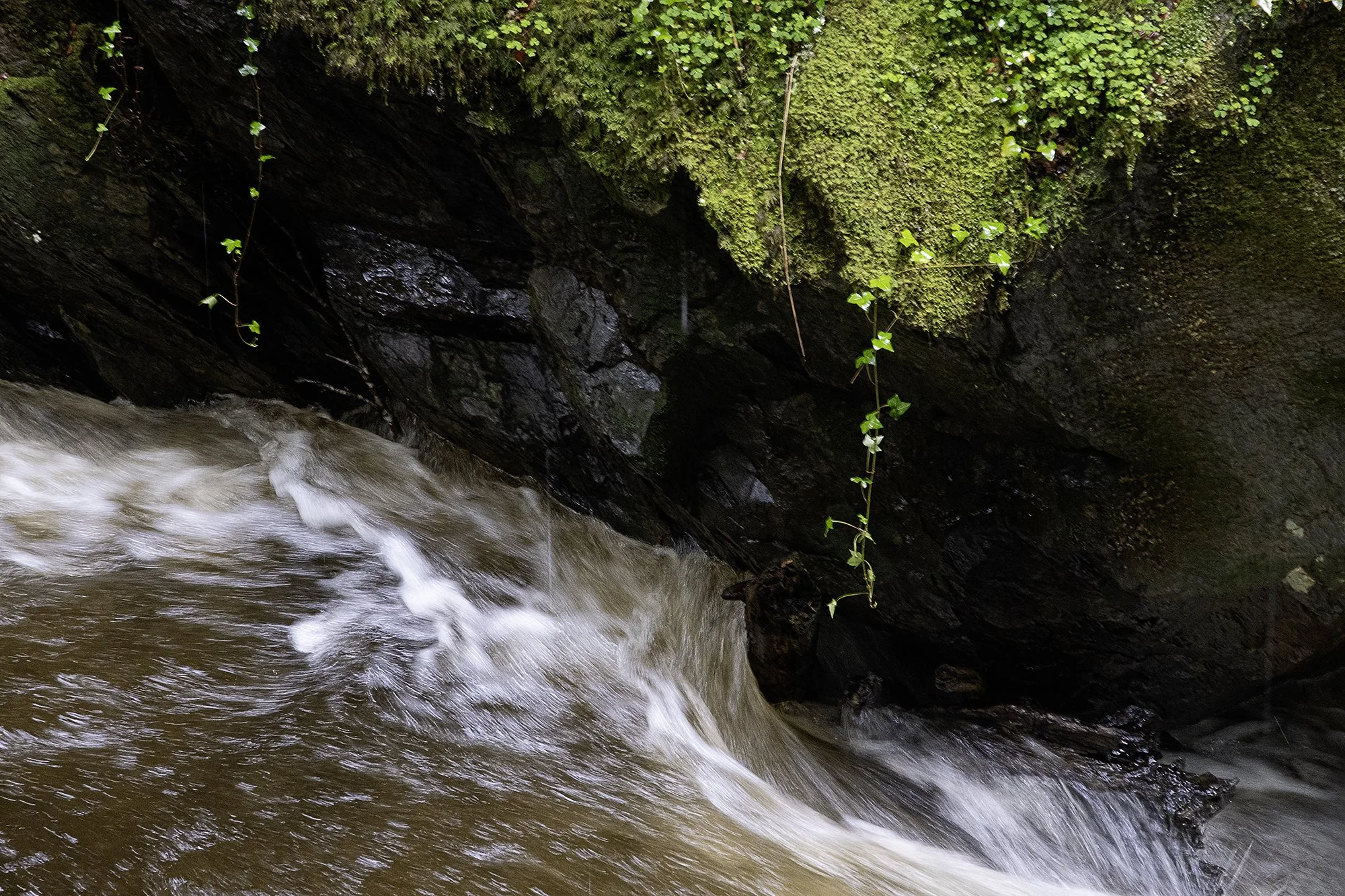 DSCF6577.jpg