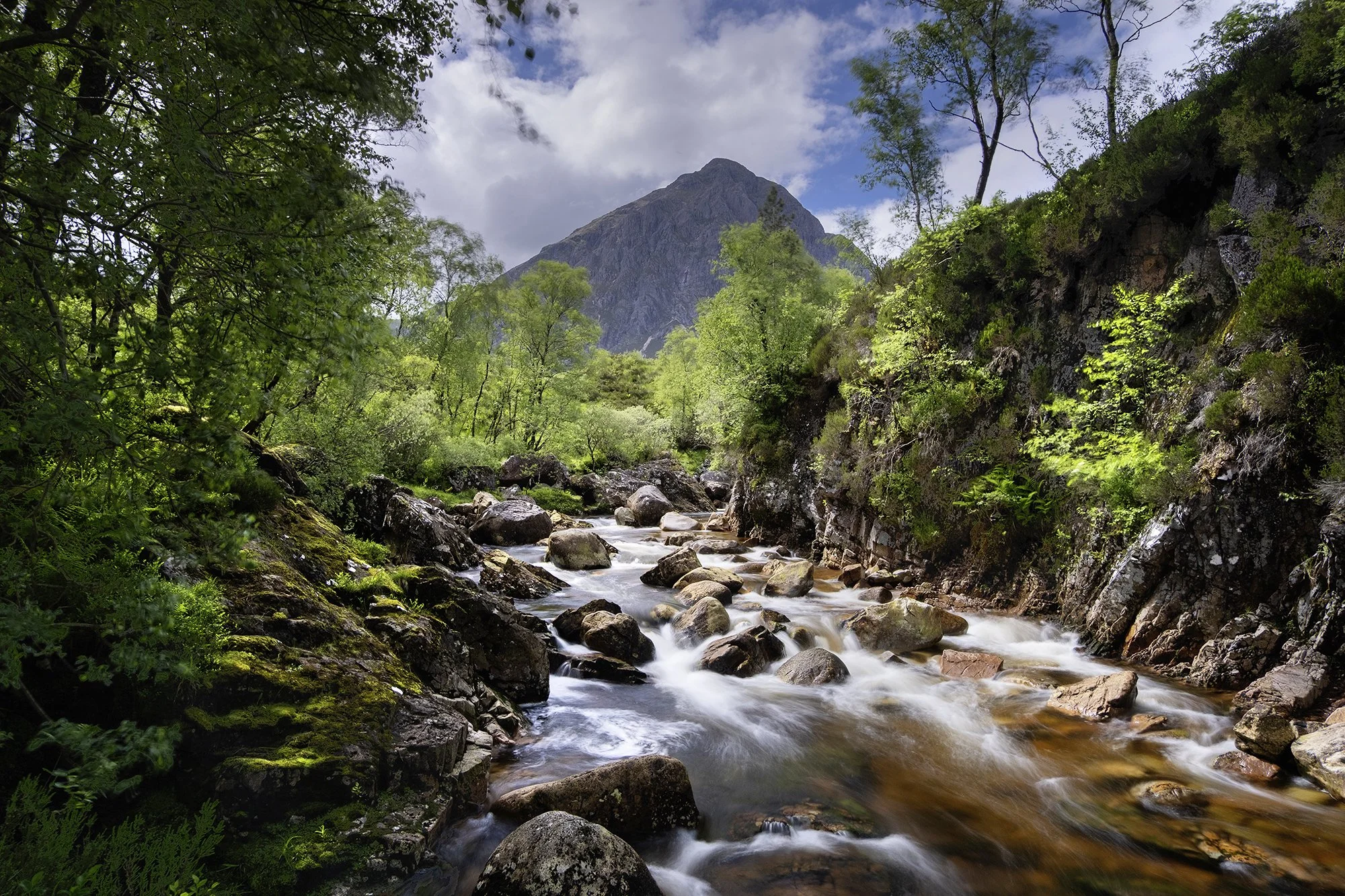 DSCF6318.jpg