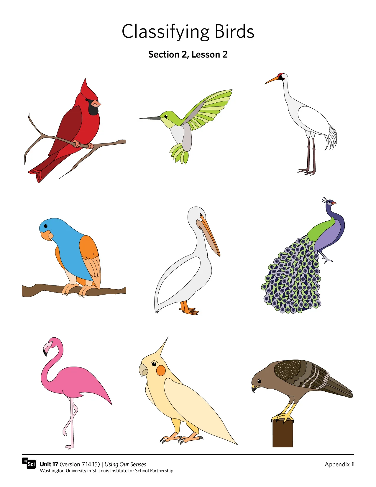 MySci Illustrations.jpg