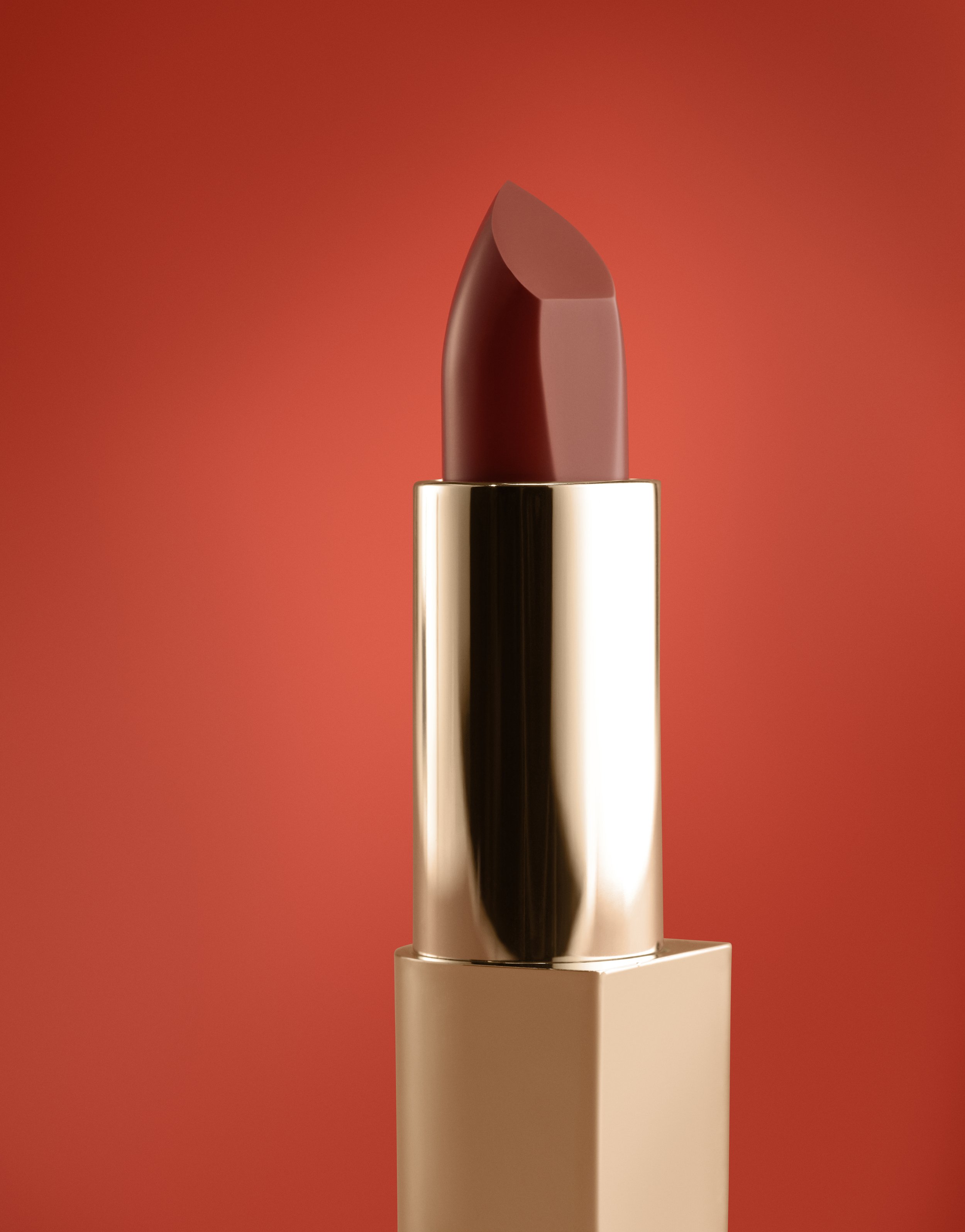 lipstick-gifted-campaign-gc.jpg