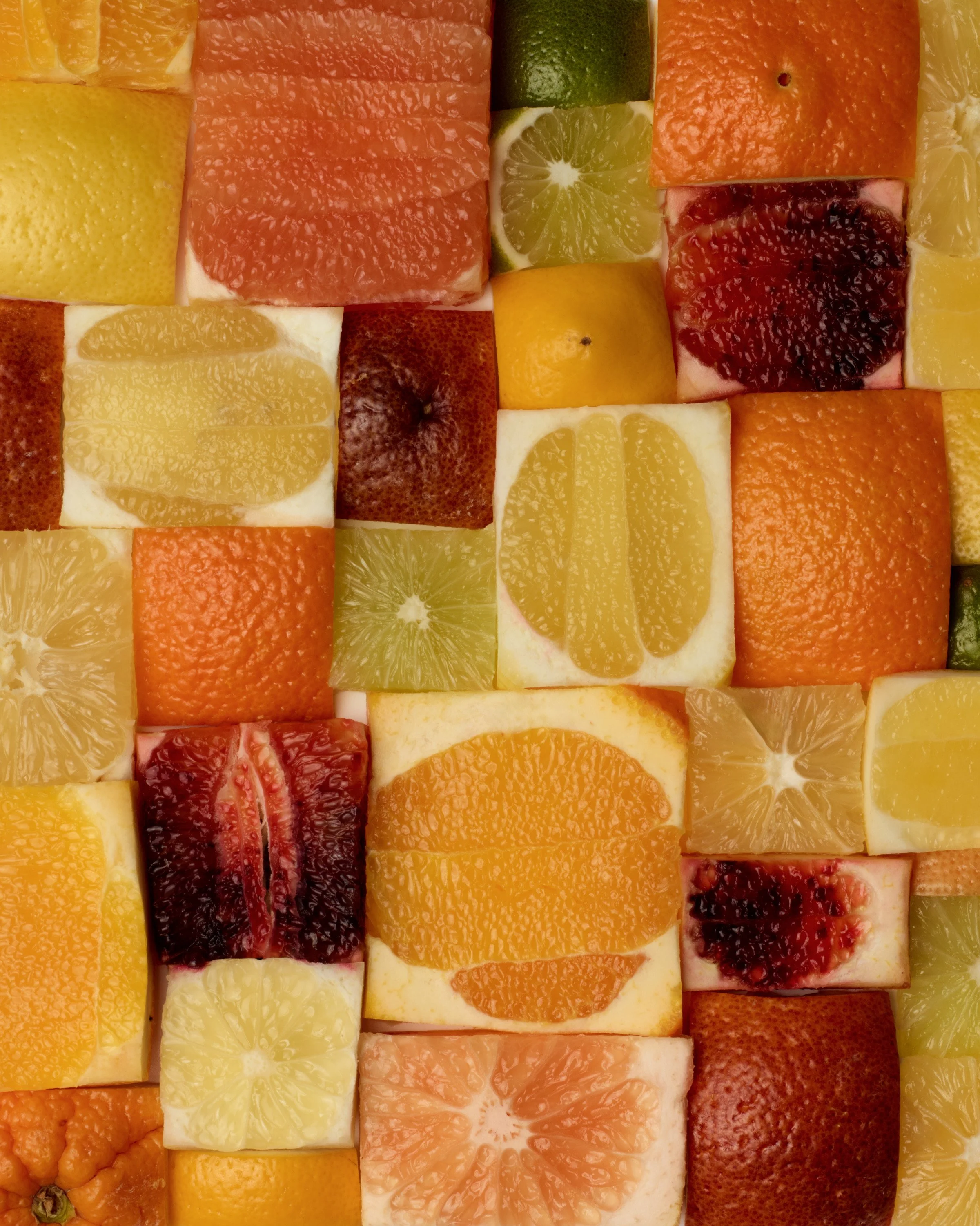 2025_Still Life_25772 1.jpeg