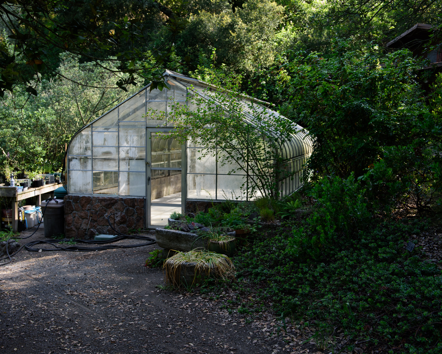 Greenhouse+for+Propagating+Native+Plant+Species+at+Regional+Parks+Botanic+Garden.jpg
