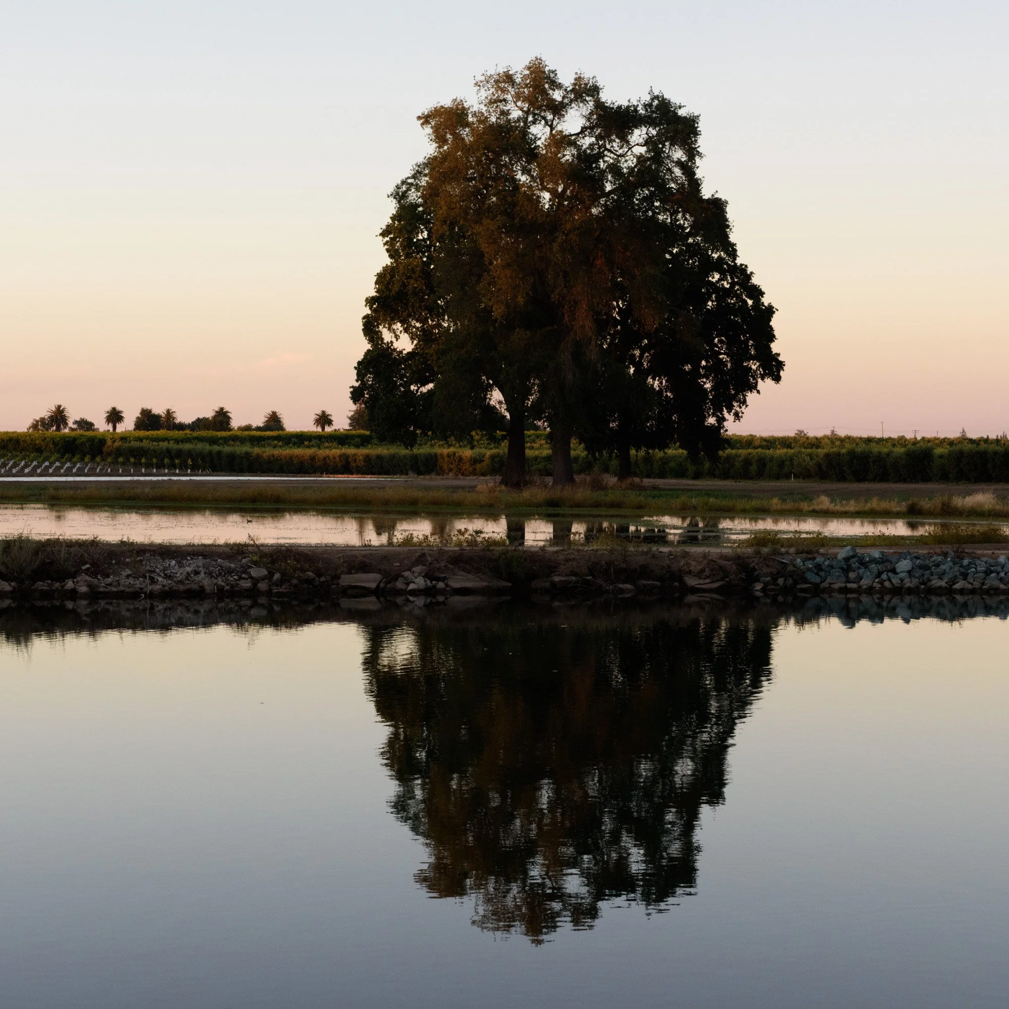 image-asset (1).jpeg