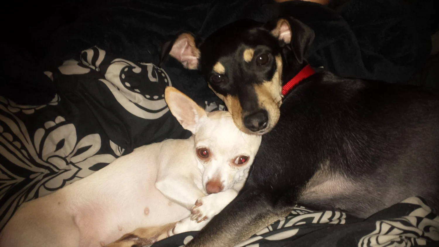 Rafiki: Thank you from the Bottom of All of Our Hearts