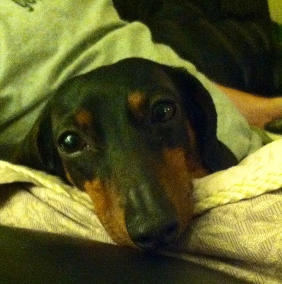 A Newfound Hope for Emma