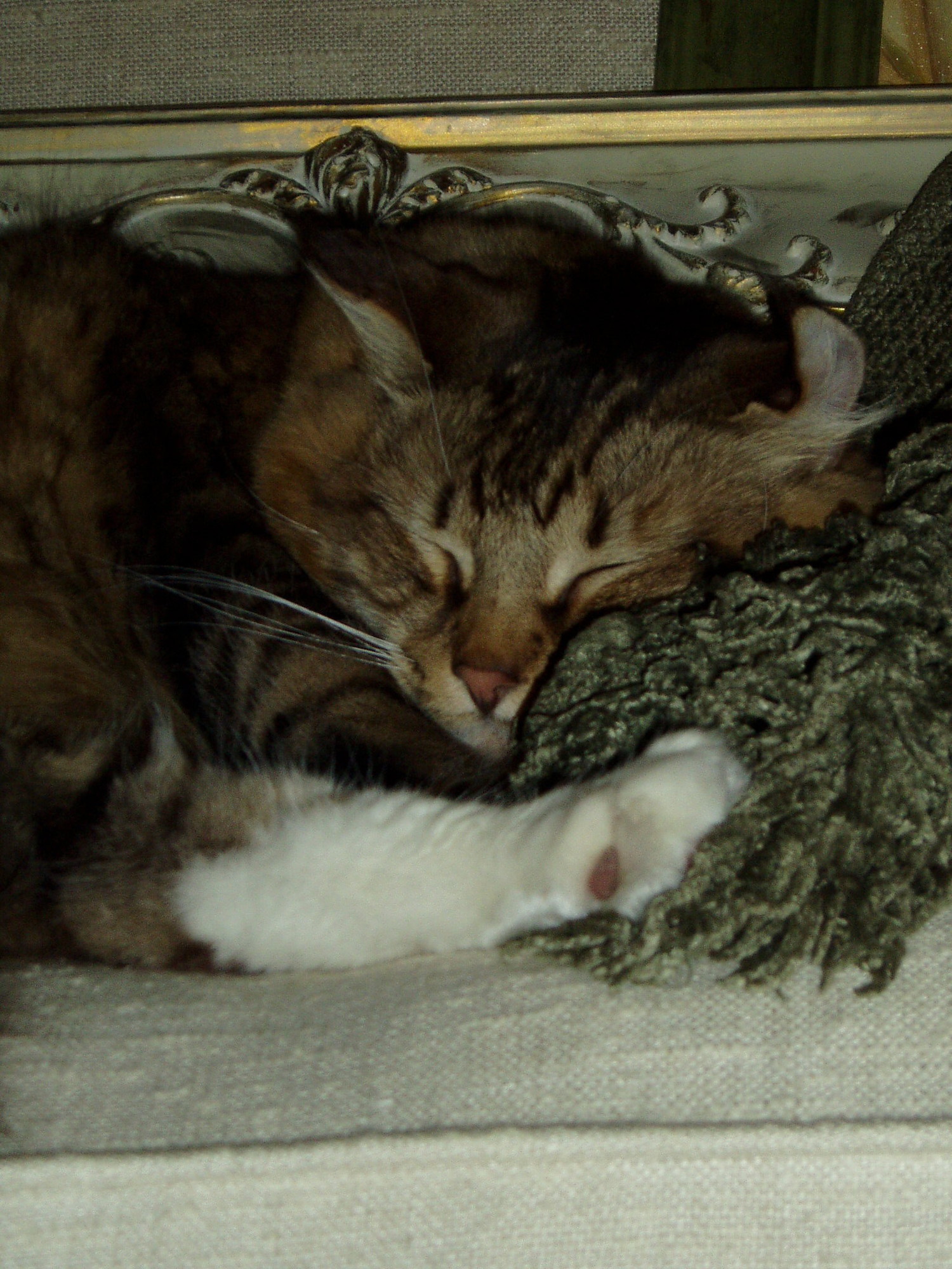 Sandy, Thank-you for Your Kind Generosity