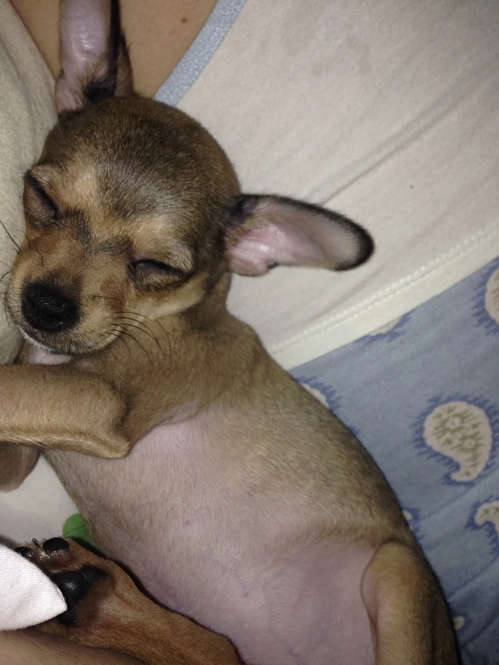 Thank You for Helping Paris, Lots of Love from Us!