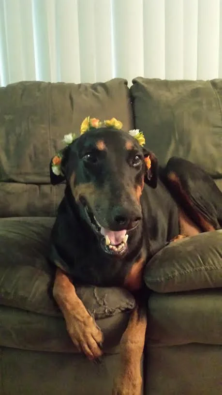 Missy: Words Can't Express the Gratitude I Have in My Heart