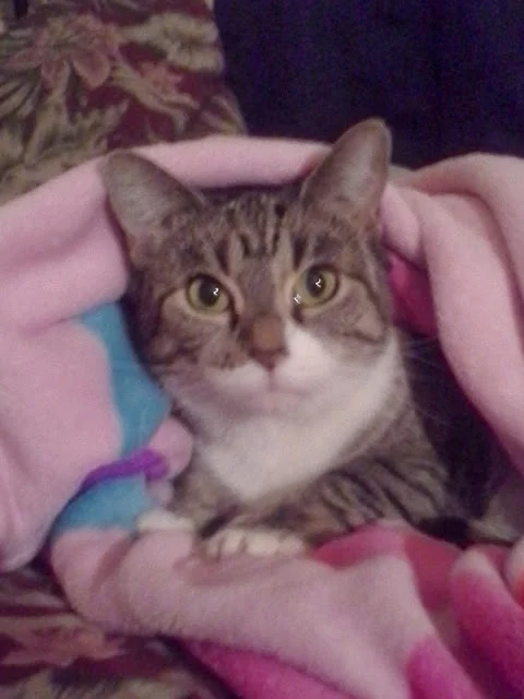 If Baby Could Talk, she would say "Thank you for saving my life."