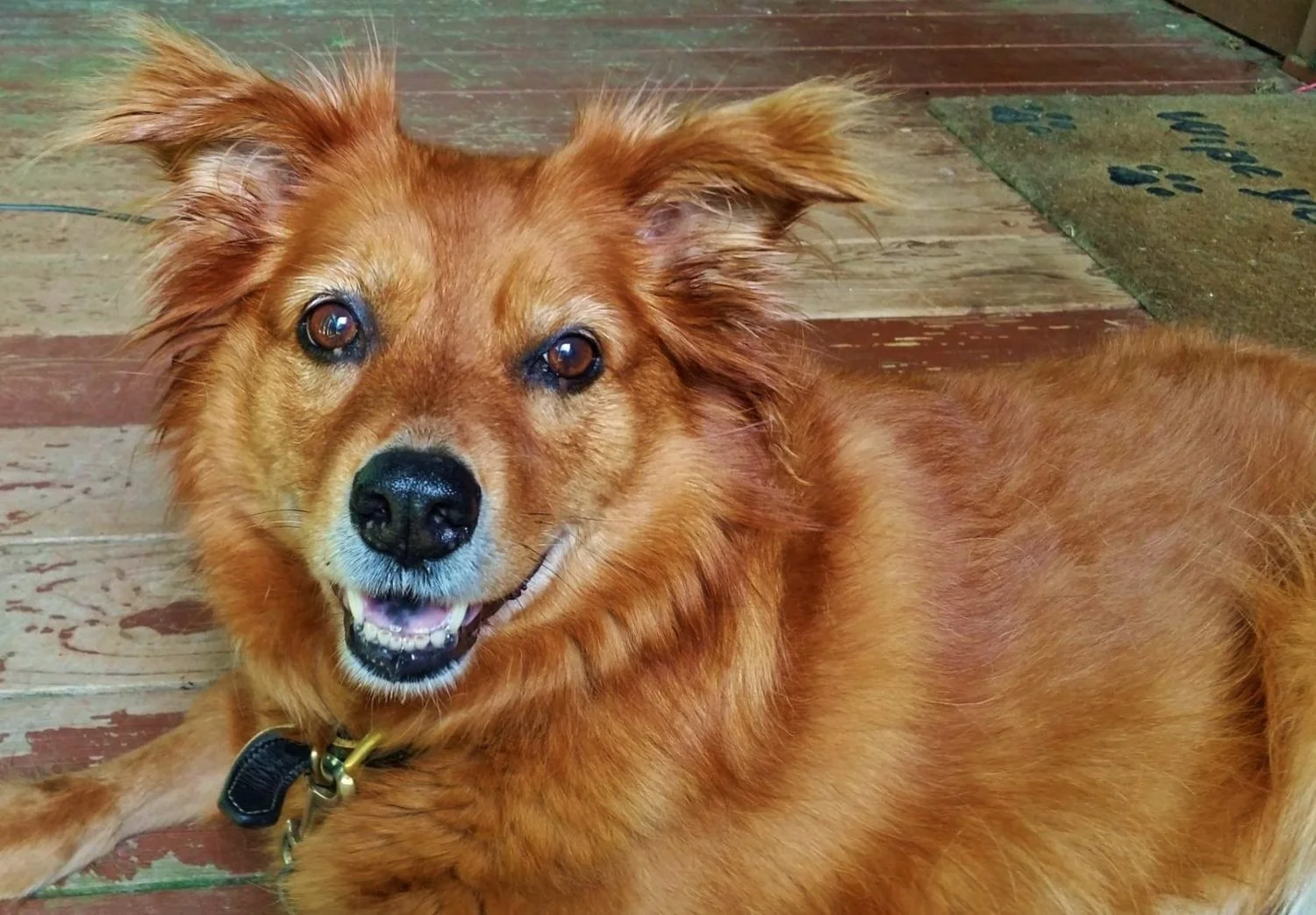 Sweet Savior, Xena's Story