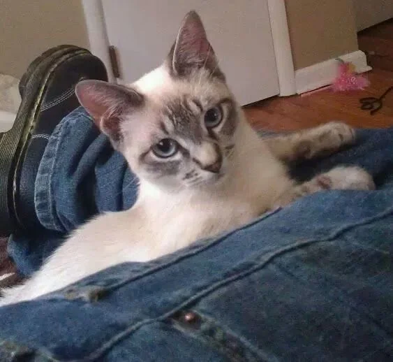 Opey - Thank you, You Helped to Give Him A Full Life