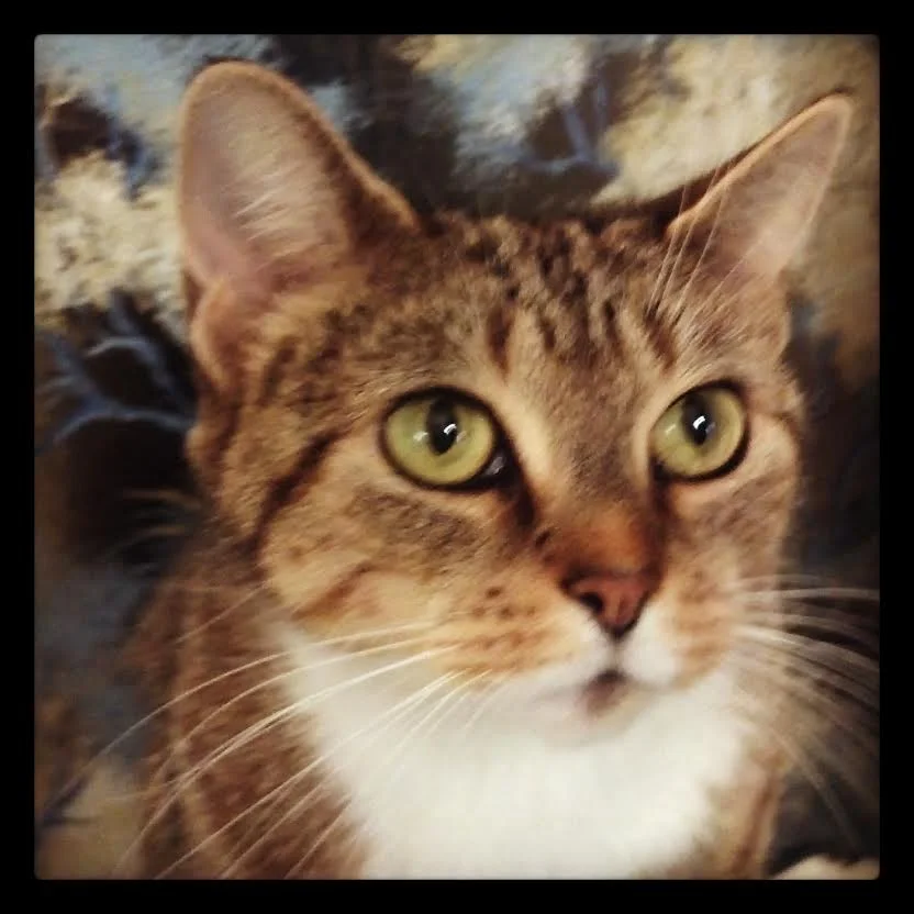 Samantha, Thank you - Hope Lives Through What You Do