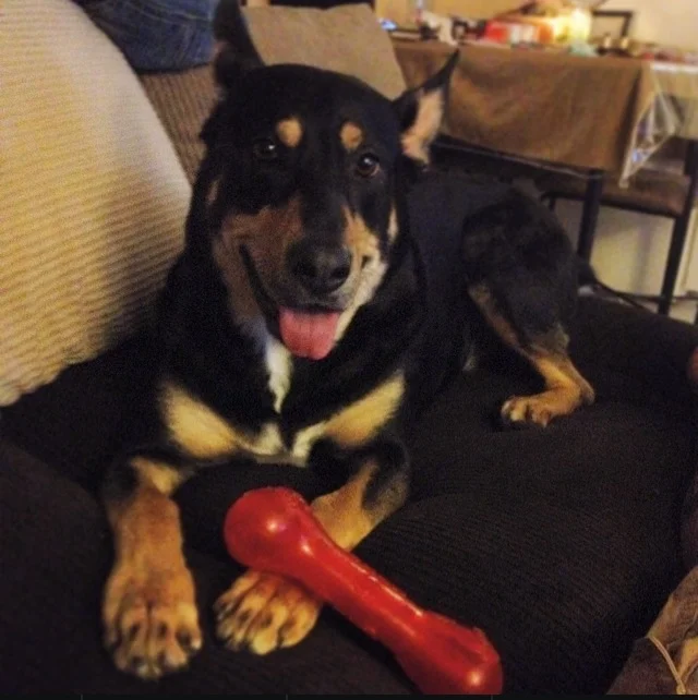 Mya, She Has Been Our Life