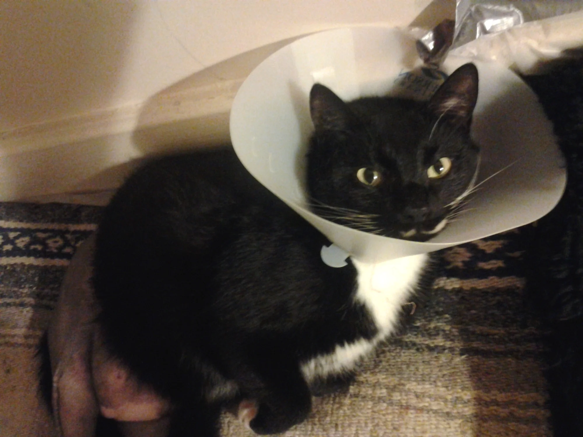 Penelope, Thank You for Your Help!